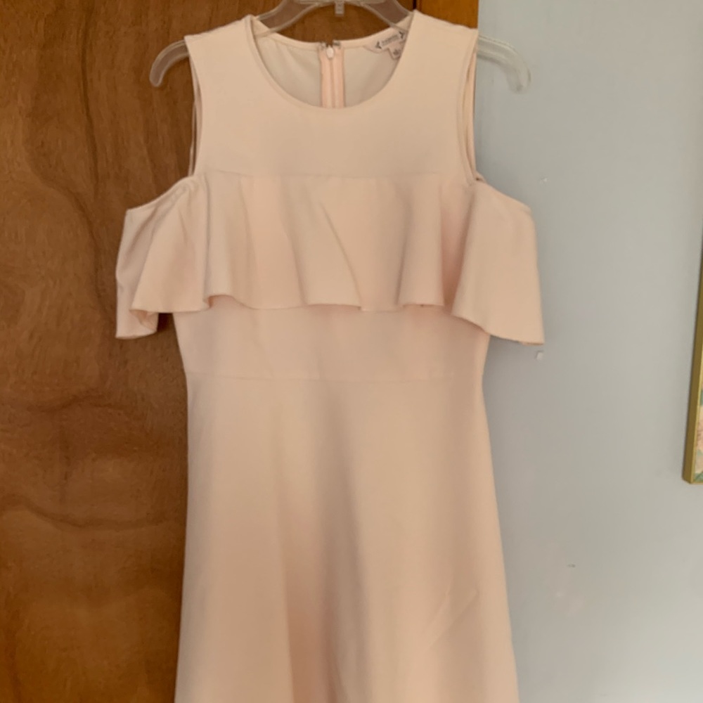 Pale Pink Dress A-Line
